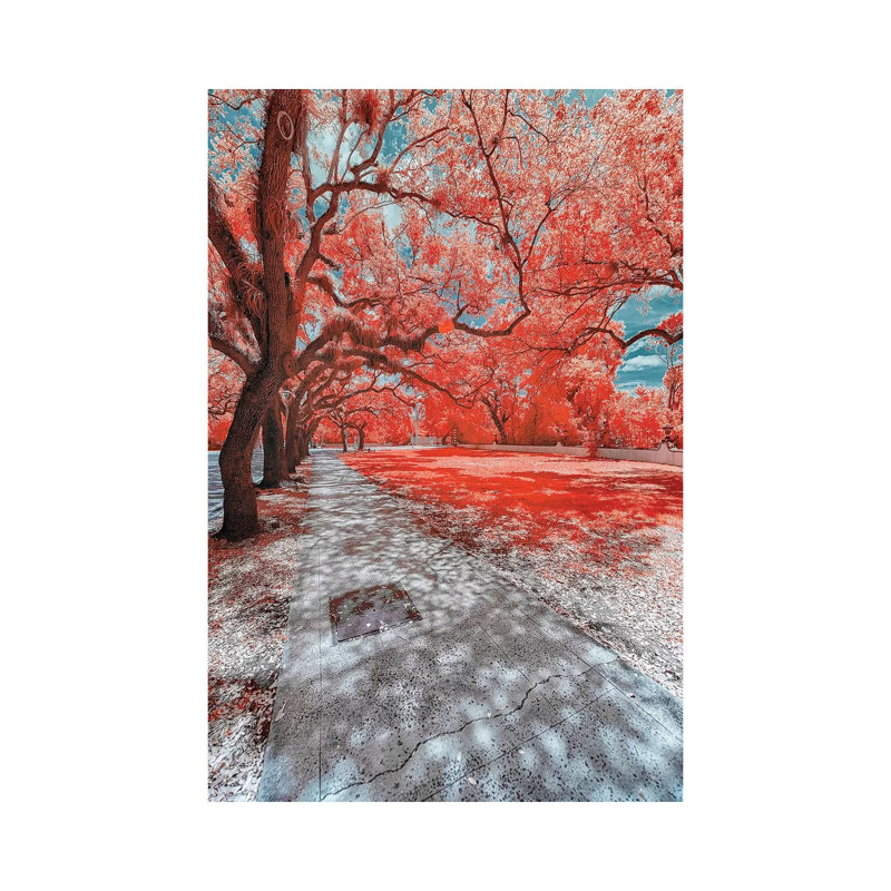 Miami Infrared Iv by Glauco Meneghelli - Wrapped Canvas Print, 66.04 cm H x 45.72 cm W x 3.175 cm D