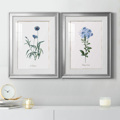 " Imperial Blue " 2 - Pieces