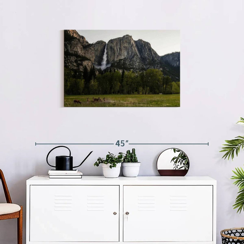 Deer Against Yosemite Falls, 20" H x 30" W