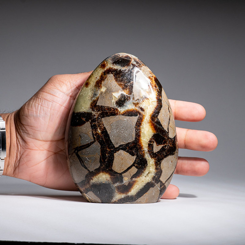 Polished Septarian Freeform from Madagascar (2.1 Lbs)