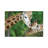 Giraffe In Love by Goran Anastasovski - Wrapped Canvas Print-869662605