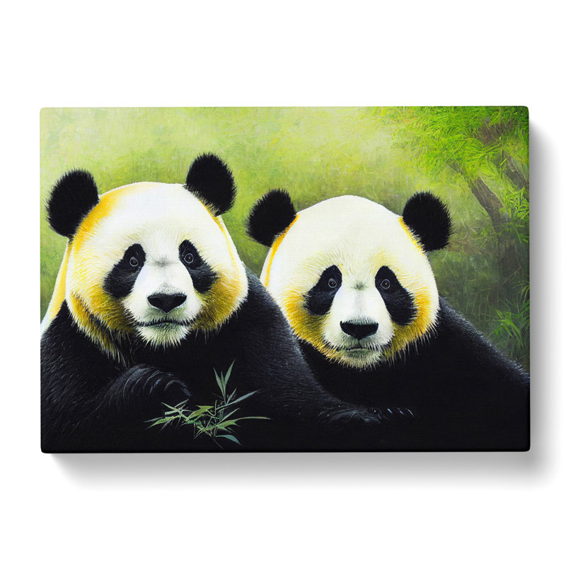 XXX-H1022-WF-8396X Striking Pandas - Wrapped Canvas Print, 35cm H x 50cm W x 3cm D