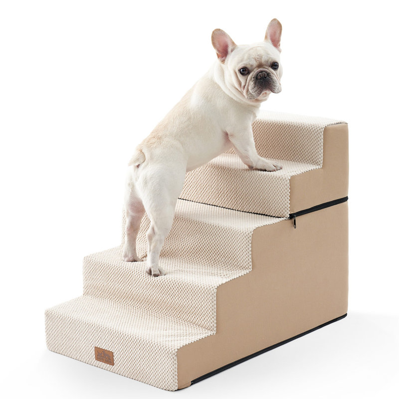 Escalier pour chien pliable à 5 niveaux avec escalier pour chien, Beige