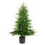 Sapin de Noël-972129109