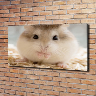 Hamster - Wrapped Canvas Print