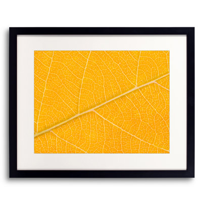 Autumn Leaf Print by Philippe Monthoux