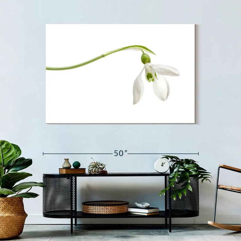 Harnek Elegant Snowdrop Flower