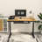 Landaverde 55"x28" Dual Motors Height Adjustable Standing Desk Wireless Charging with Drawer-217276357-205472701