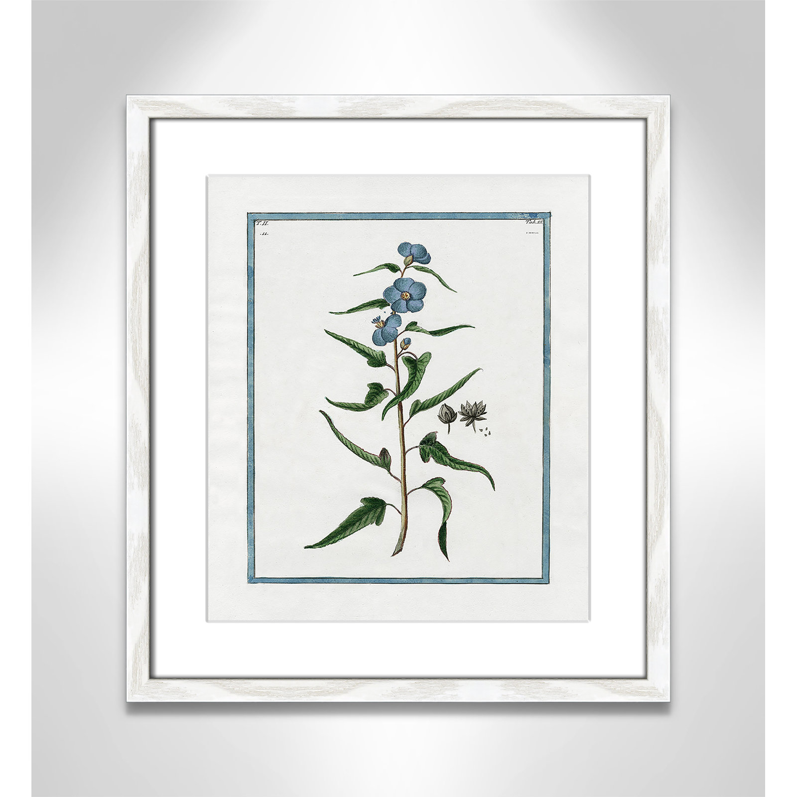 Shabby Elegance Botanical I - Framed Art Full Bleed, 13" W x 15" H, White Framed