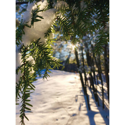 Couverture hivernale - photographie