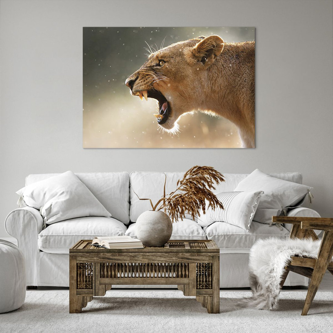 Leinwandbild Lion Lioness Fangs