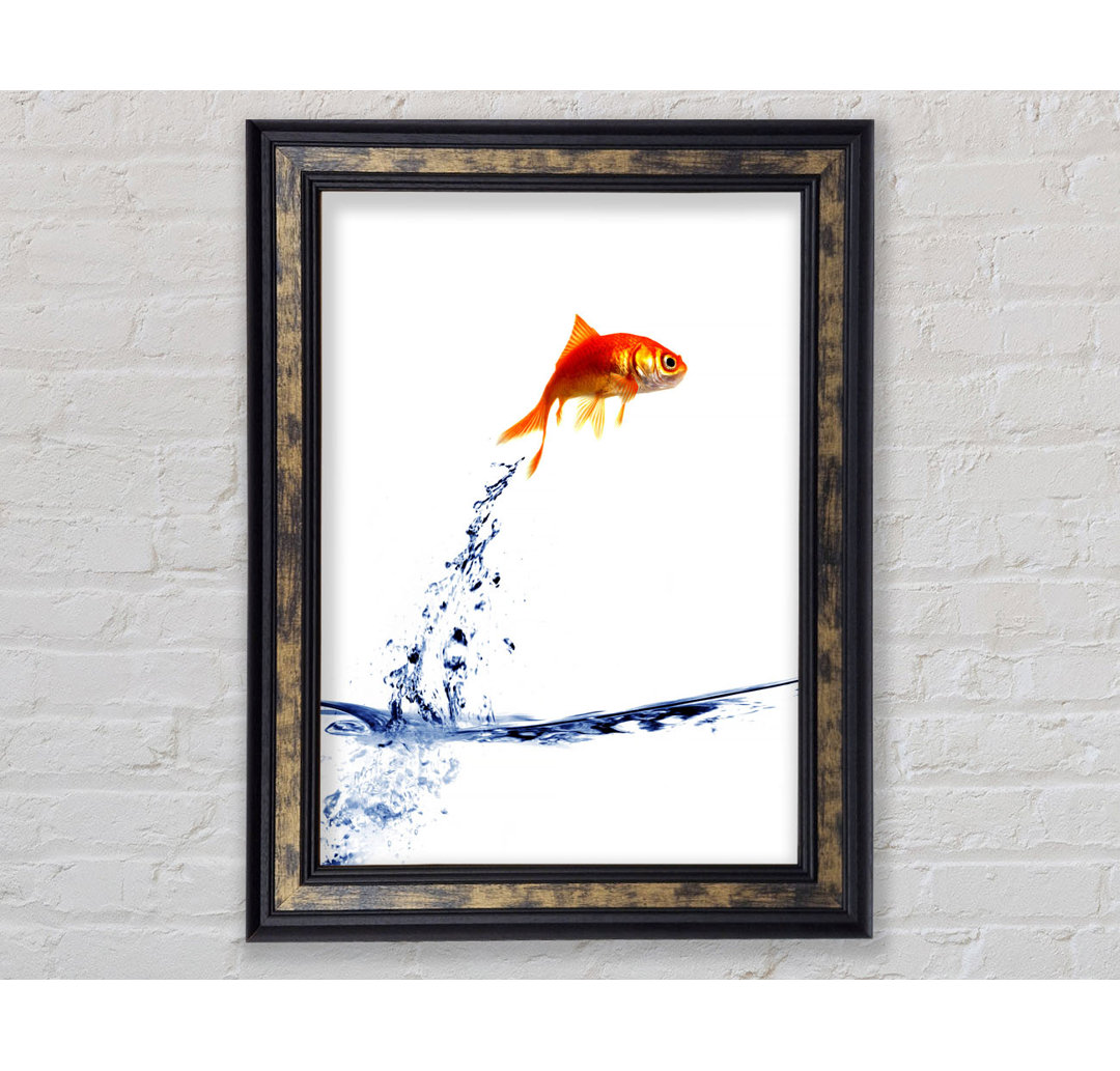 Springender Goldfisch Gerahmter Druck Wandkunst