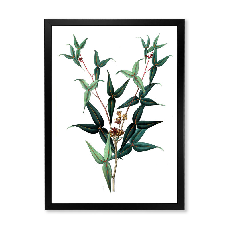 Feuilles de plantes - reproduction d'art sur toile, H 32 po x l 24 po x P 1 po, Noir