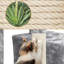 color 87cm H Cat Tree-117967696