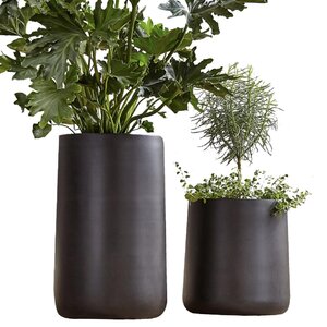 Wade Logan® Winebrenner Handmade Pot Planter & Reviews 