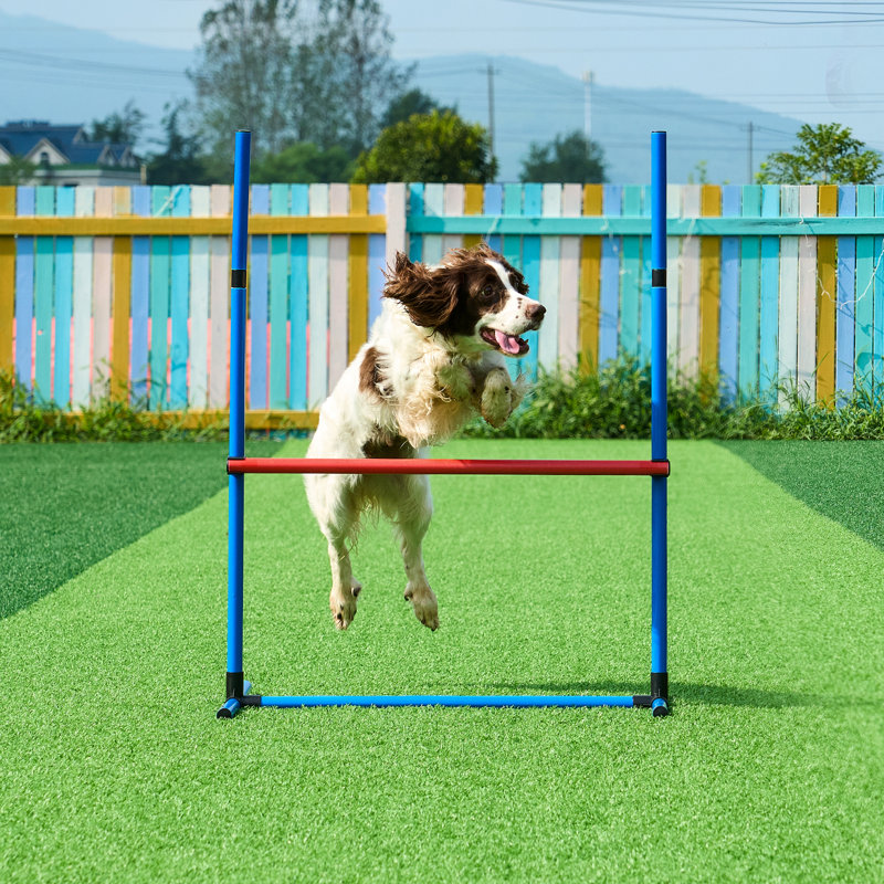 Ensemble de dressage d'agilité pour chien 5 PCS avec haies, Bleu