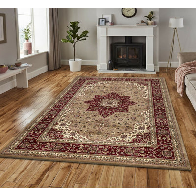Aspynn Oriental Area Rug