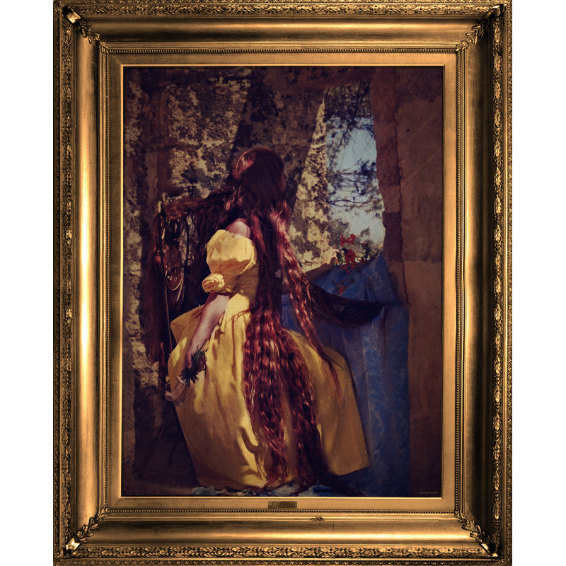 Rapunzel 1 Piece Single Picture Frame Wall Art on Canvas