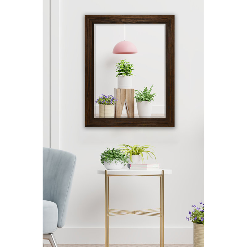 Miroir d'appoint Narely, 41,75 po x 35,75 po, Moka