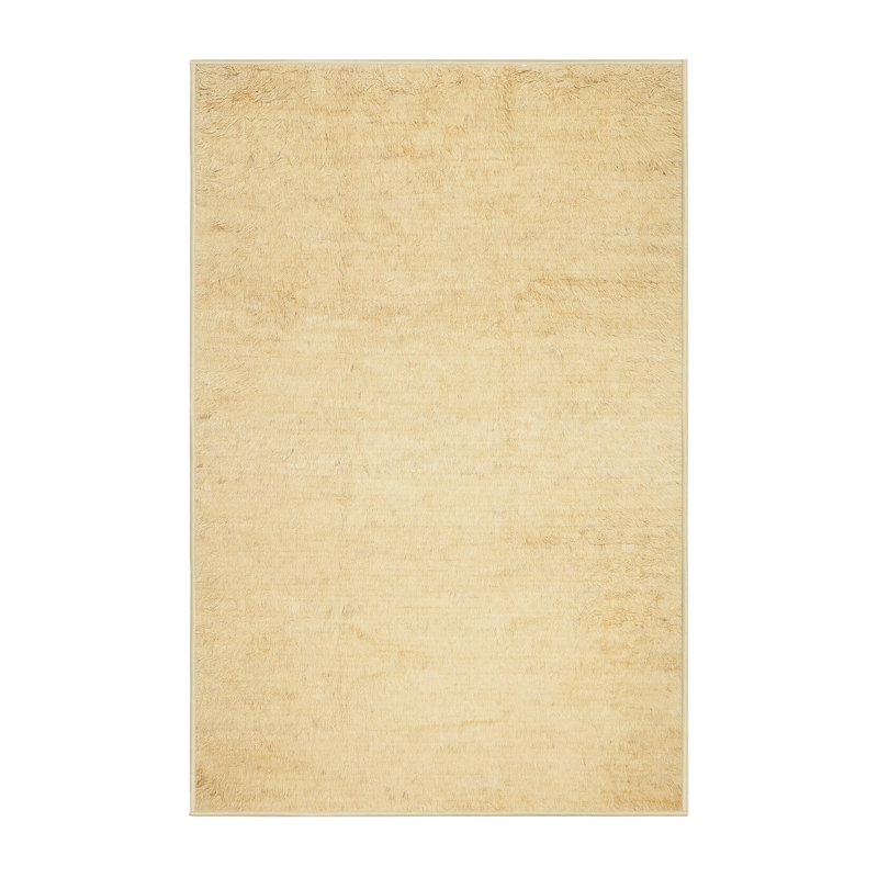 Tapis beige contemporain, Rectangle 4 pi x 6 pi