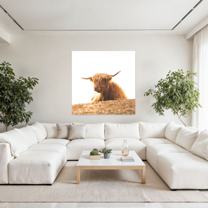Portrait d'une vache contemporaine, H 48 po x l 48 po