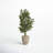 53'' Faux Ficus Tree in Earthenware Planter