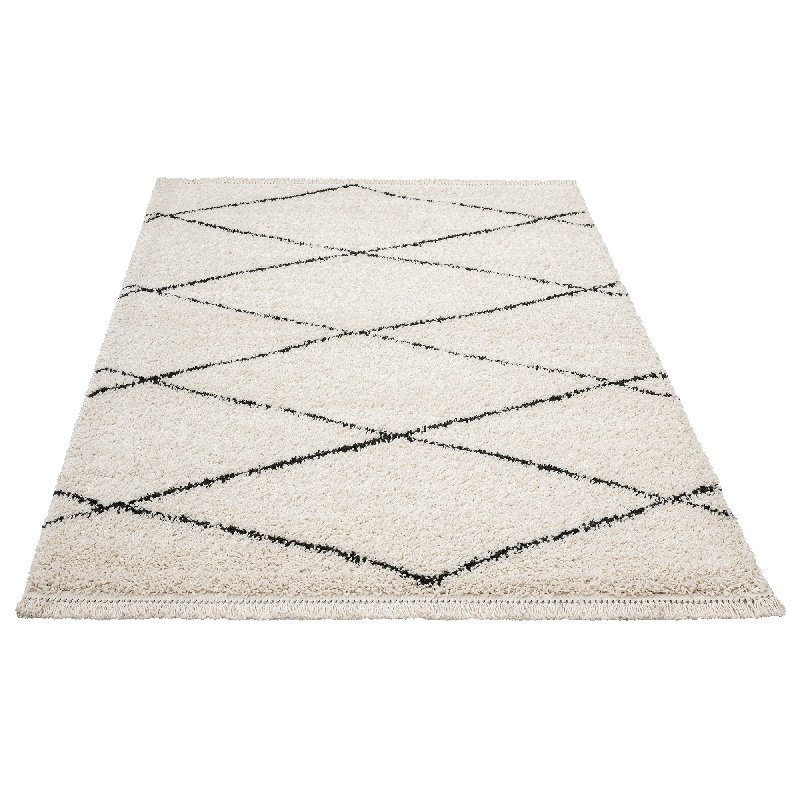 Andice Shaggy Rug in Black/White, Rectangle 200 x 290cm