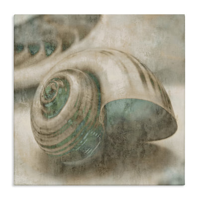 'Centered Sharkeye Seashell Distressed Texture Blue Tan Design' by Ziwei Li - Graphic Art Print
