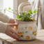 Pot de fleurs et vase en céramique Adairsville Country Cottage-302204891