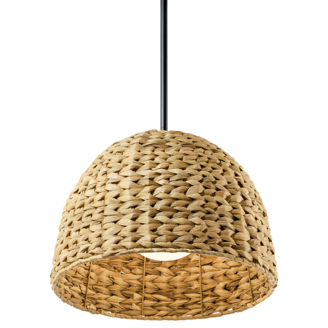Adlyna 1 - Light Dome Pendant Bay Isle Home™