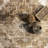  Jessamine Geometric Machine Washable Area Rug-87686566