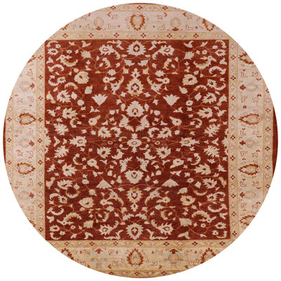Tapis oriental beige / brun Nolina