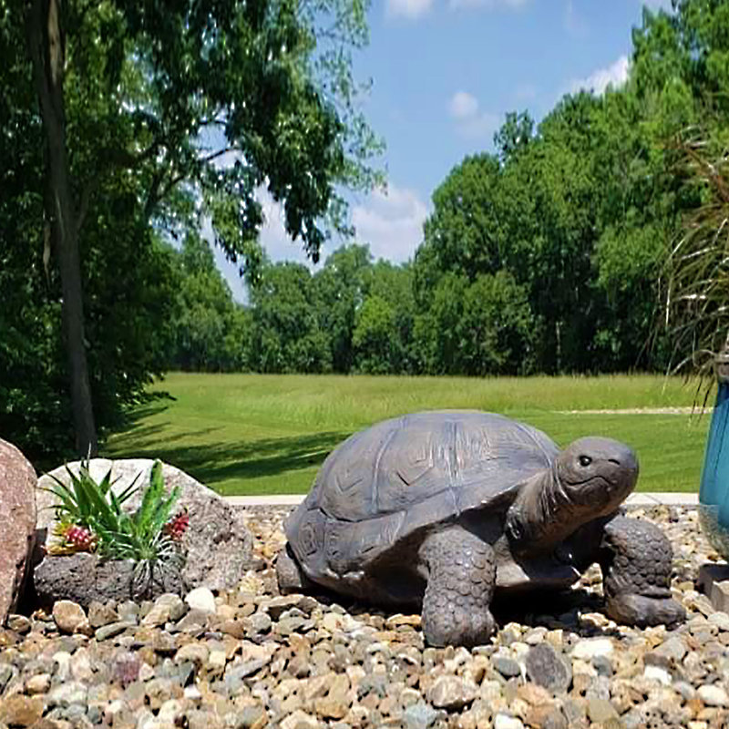 Gospodarczyk Tortoise Statue