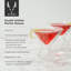 Verres à martini à double paroi