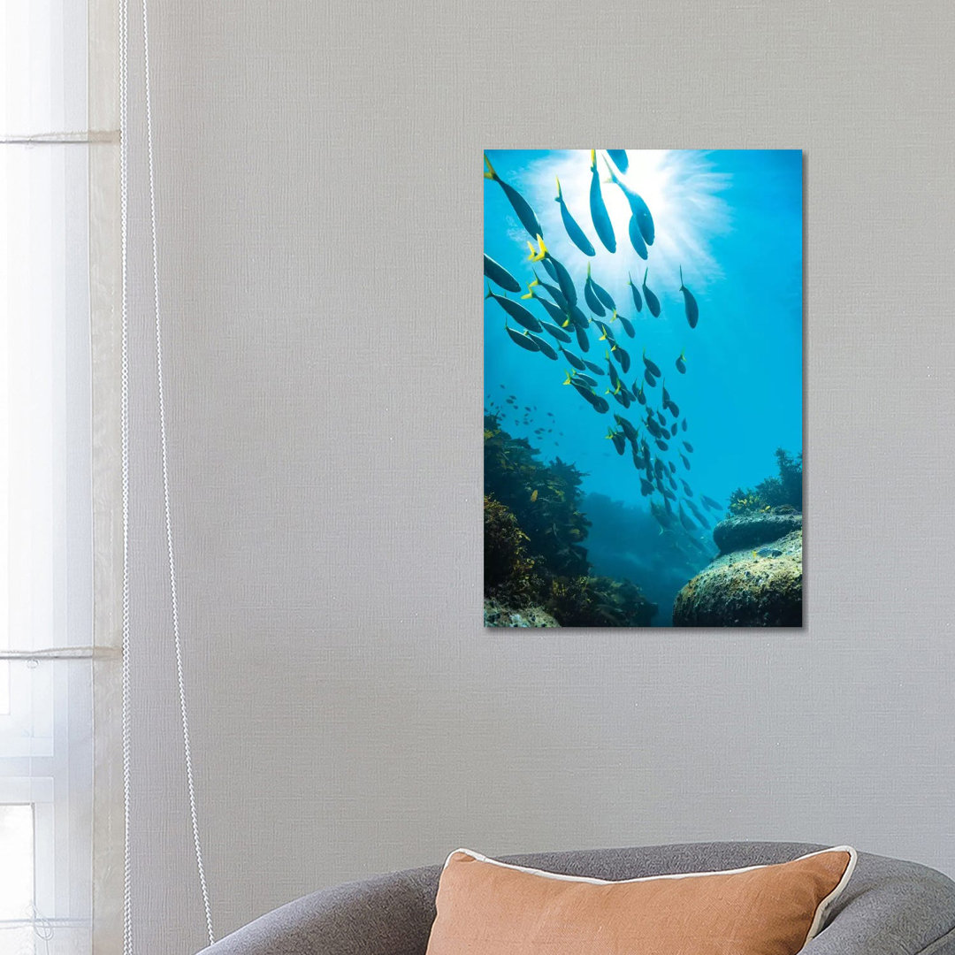 Underwater Sydney by James Vodicka - Wrapped Canvas Gallery-Wrapped Canvas Giclée