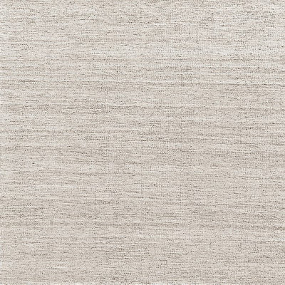 Oriental Indoor Rug
