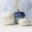 Capiz Pumpkin-1942376119-1942376117-1942376104