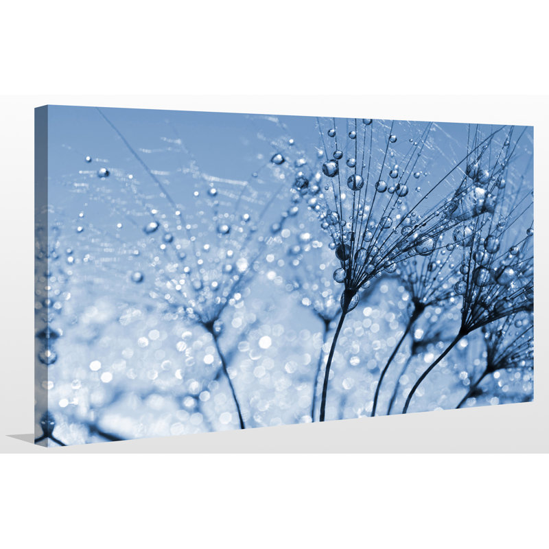 « dewy pissenlit fleur close up », reproduction de photo sur toile tendue, H 24 po x l 40 po x P 1 po