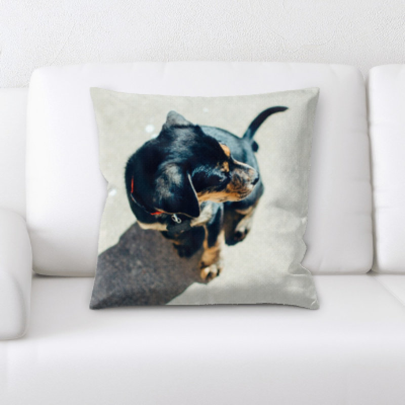 Coussin pour chien