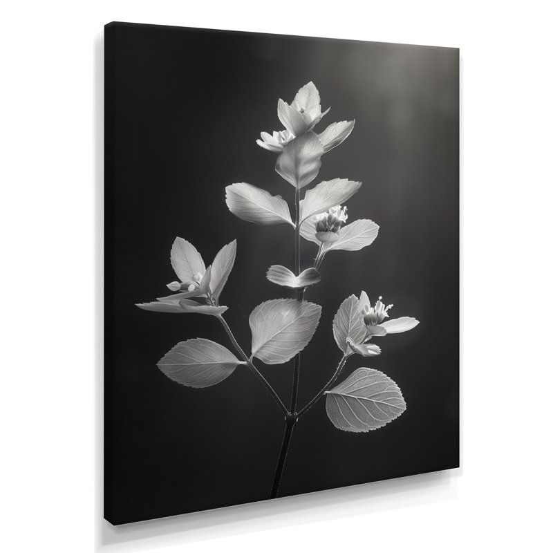 «Elegant Silhouette», gris, monochrome, eucalyptus II - Eucalyptus, art mural, Toile tendue, H 40 po x l 30 po x P 1,5 po