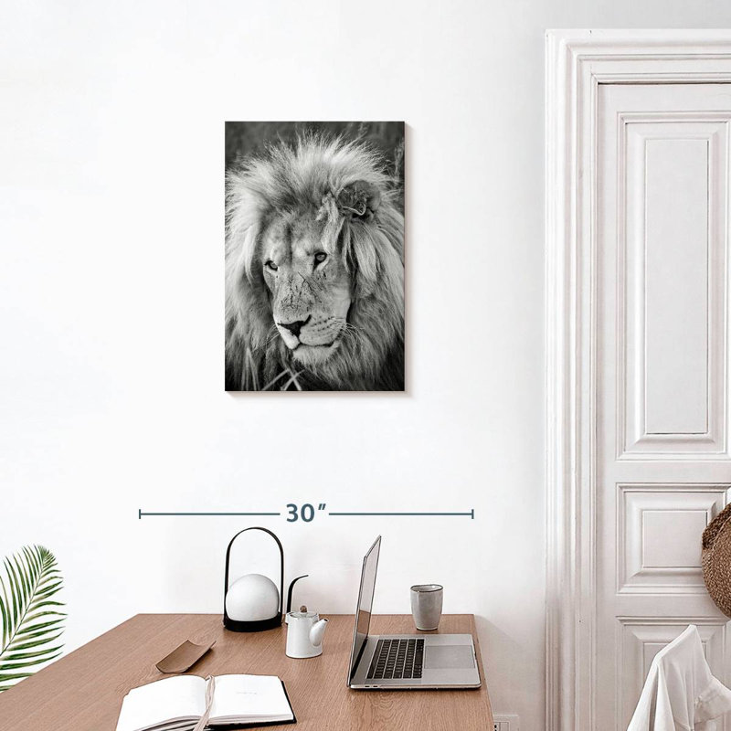 Brampt Lion Male I, 24" H x 16" W