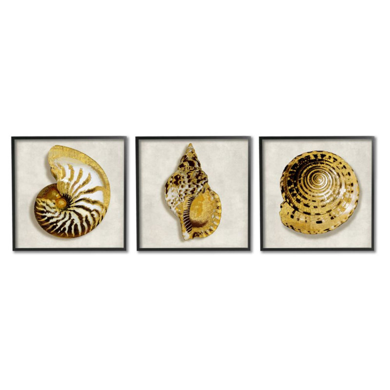 «Golden Spiral Seashells» par Caroline Kelly - ensemble de 3 reproductions d'impressions, Giclée encadrée noir minuit