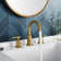 Celestine Widespread Faucet 2-handle Bathroom Faucet with Drain Assembly