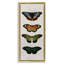 Cadre flottant rétro Butterfly, par Dan Meneely-220666389-220666386