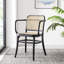 Chaise avec accoudoirs en noir / brun clair-1246349349
