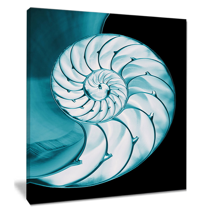 « compartimented nautilus shell », impression sur toile tendue, H 40 po x l 30 po x P 1 po