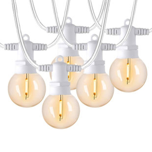 50 - Bulb 1200'' Plug-in String Light (Set of 2)
