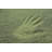 Mccluney Traditional Nylon 2 Piece Bath Rug Set with Non-Slip Backing-55618825