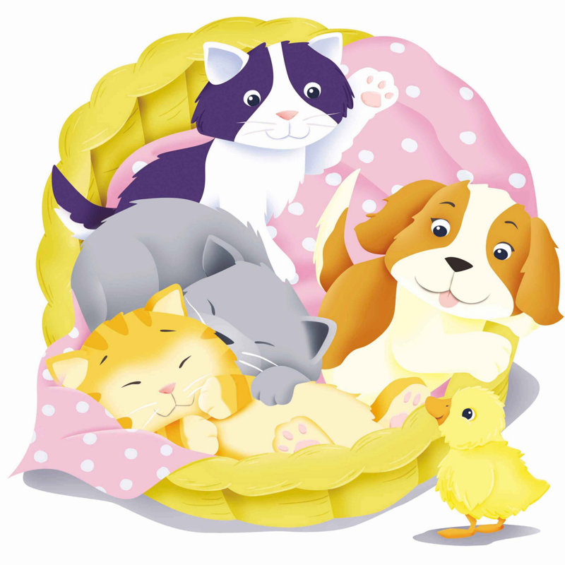 Baby Animals - Wrapped Canvas Print, 102cm H x 102cm W