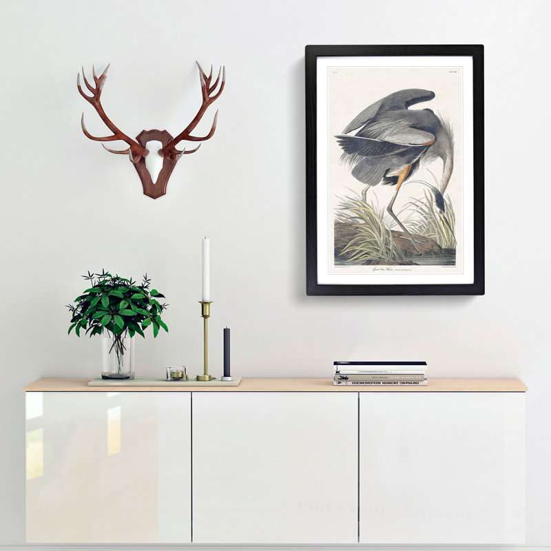 Great Blue Heron by John Audubon - Framed Print, 48cm H x 36cm W x 2cm D, Black Framed